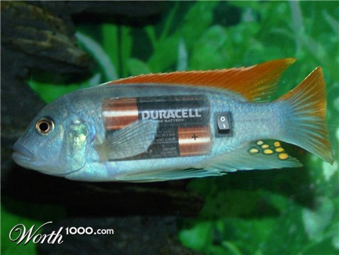 Photoshop Design by fanucci