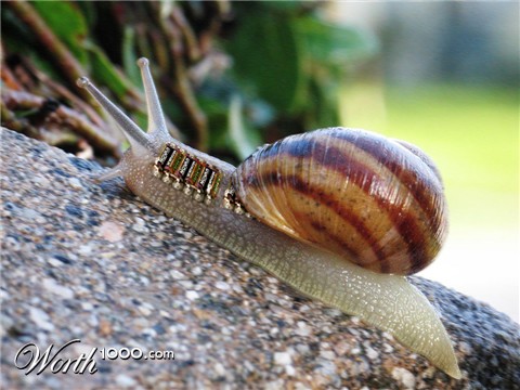 Photoshop Design by jaysin777