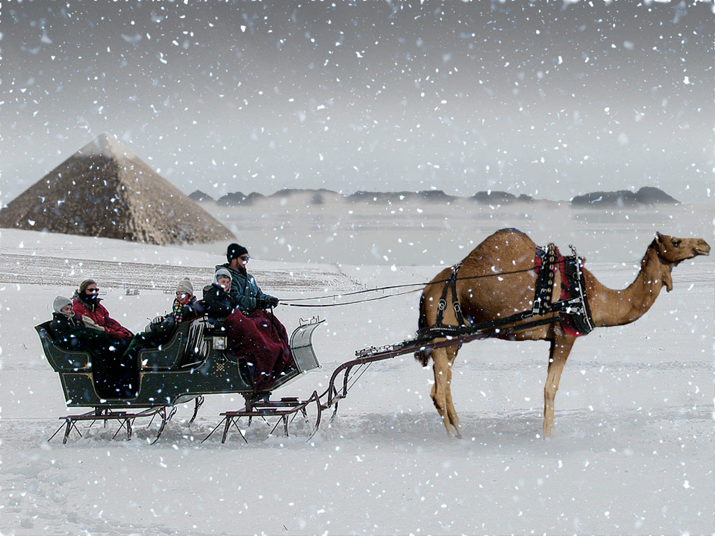 Diseño de Photoshop por copycatfish para DesignCrowd (Community Contests) | Diseño #8980096