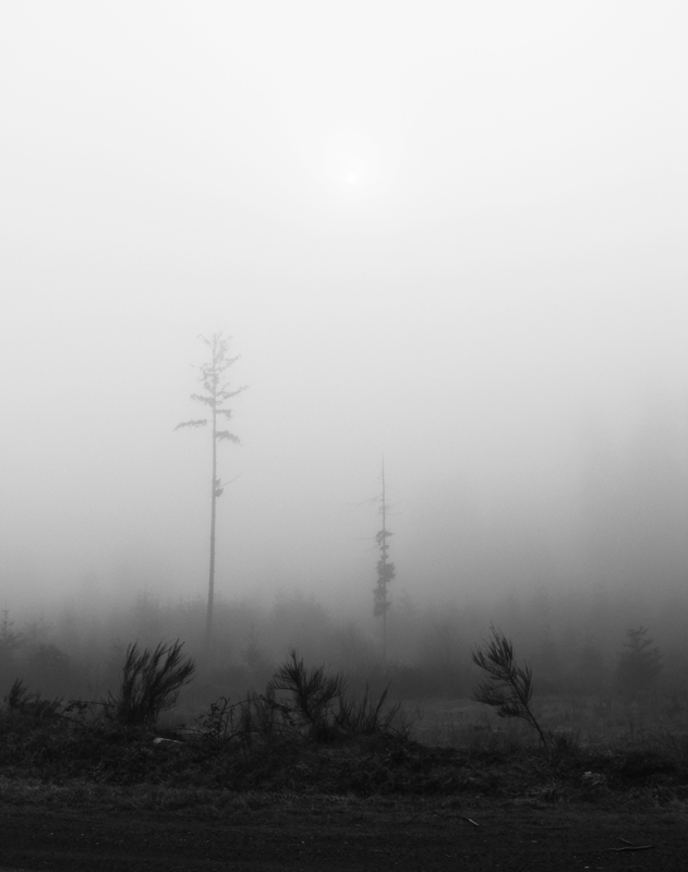 Fotografie von Feature für DesignCrowd (Community Contests) | Design #8986523