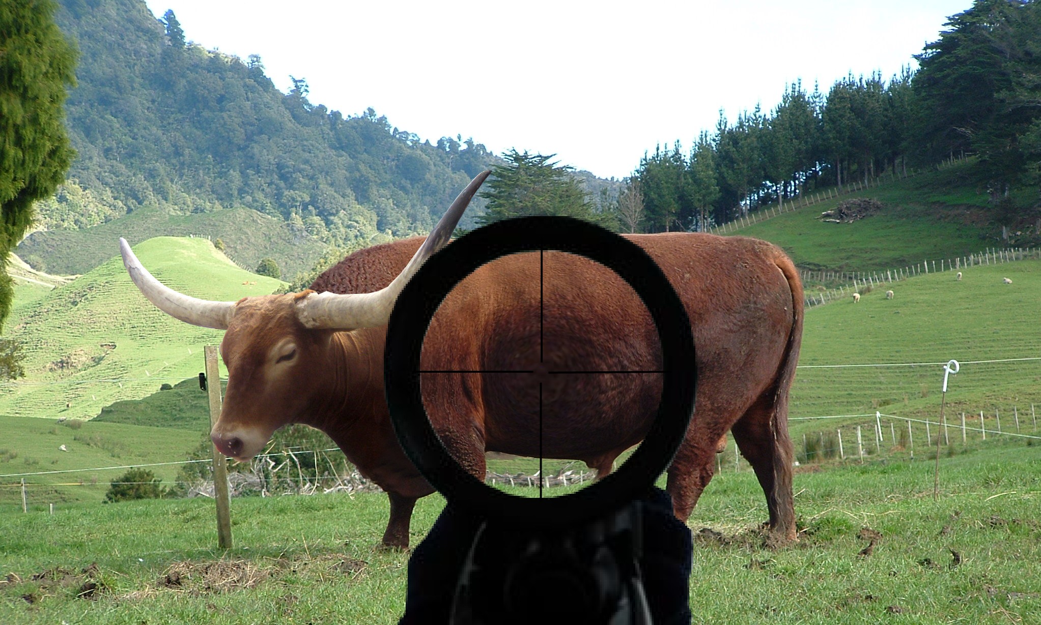 Photoshop-Design von toniamalcolm für DesignCrowd (Community Contests) | Design #8984537