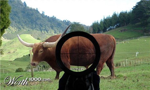 Photoshop Design by toniamalcolm