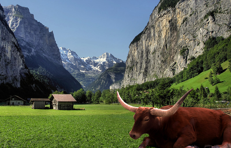 Design Photoshop par matstake pour DesignCrowd (Community Contests) | Design #8984463