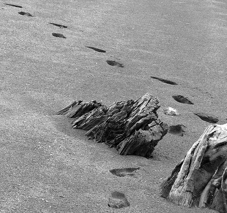 Photography by kathnh for DesignCrowd (Community Contests) | Design #8986470