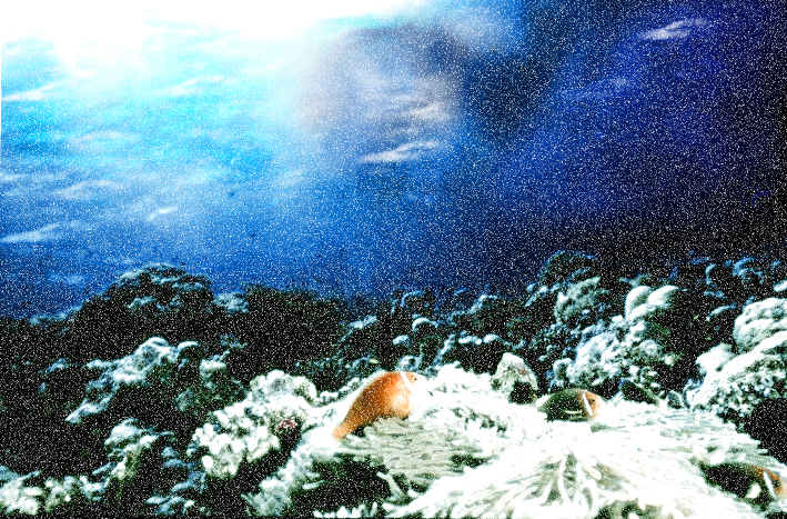 Diseño de Photoshop por noelle811 para DesignCrowd (Community Contests) | Diseño #8980149