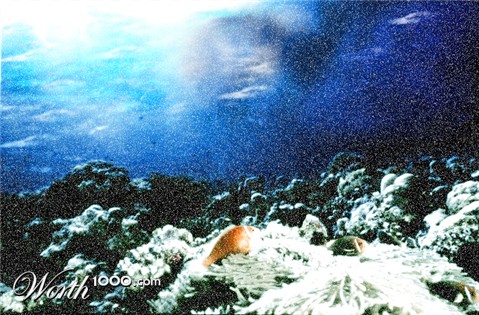 Photoshop Design by noelle811