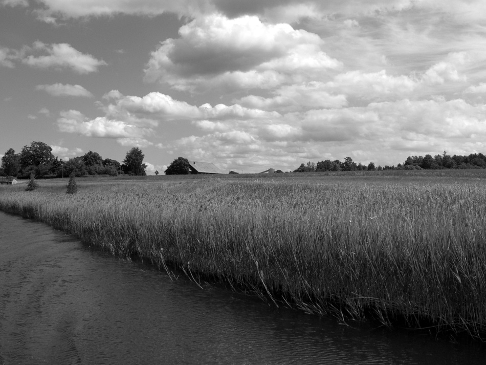 Fotografie von SallySmyth für DesignCrowd (Community Contests) | Design #8986712