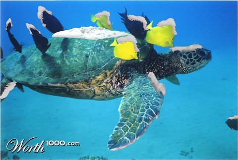 Photoshop Design by gloobella