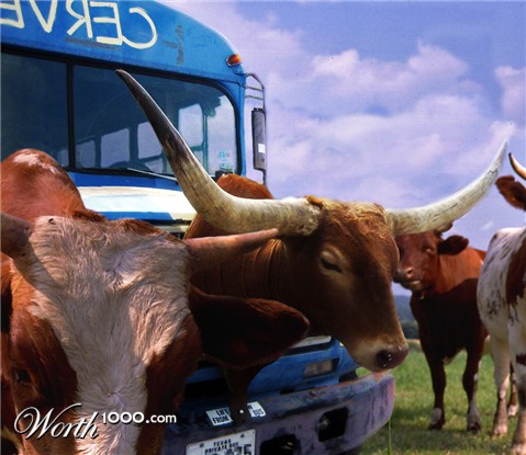 Photoshop Design by YearoftheDragon