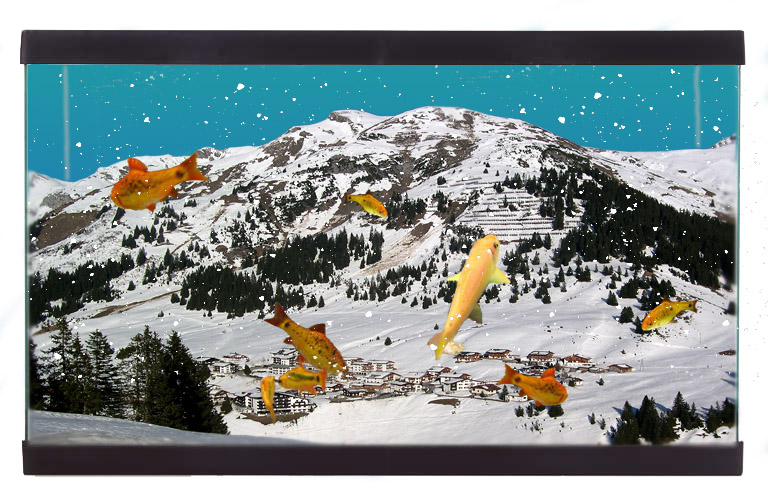 Diseño de Photoshop por elliottb para DesignCrowd (Community Contests) | Diseño #8980160