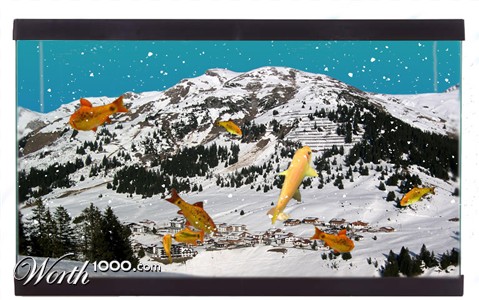 Photoshop Design by elliottb