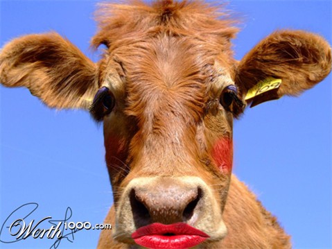 Photoshop Design by politikk2007