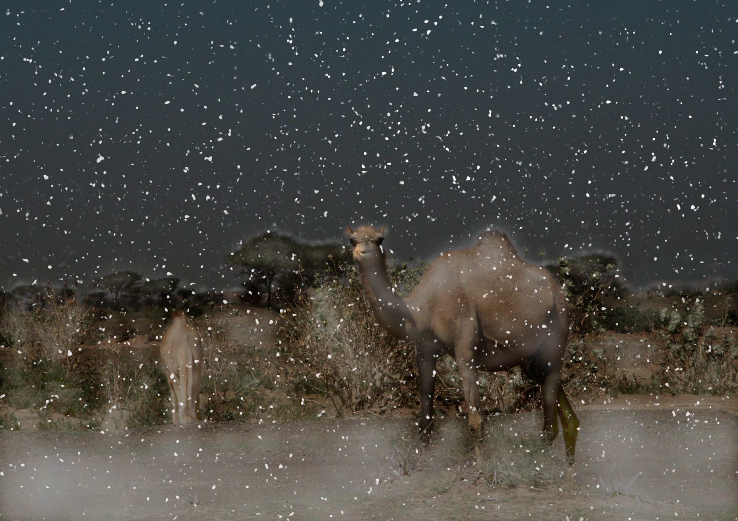 Photoshop-Design von kryptonenerio für DesignCrowd (Community Contests) | Design #8980270