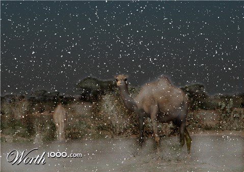 Photoshop Design by kryptonenerio