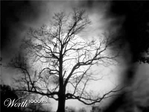 Photography by AJPunk89