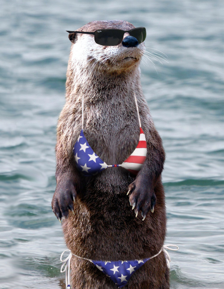 Photoshop-Design von controlfreak für DesignCrowd (Community Contests) | Design #8983601