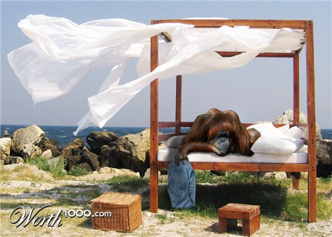 Photoshop Design by John93036