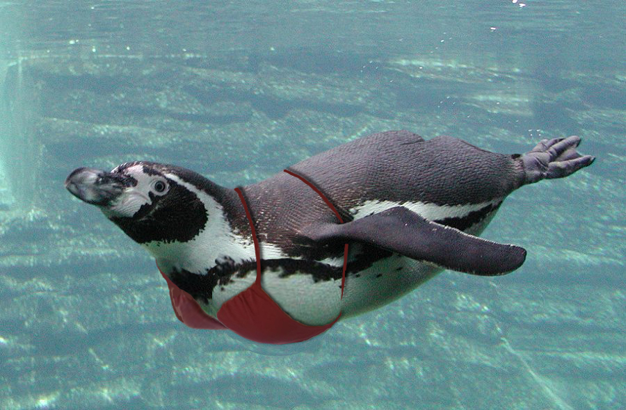 Diseño de Photoshop por bicyclewilli para DesignCrowd (Community Contests) | Diseño #8983645