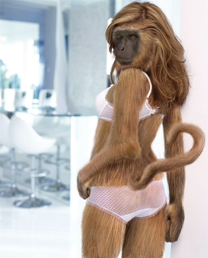 Photoshop Design by Vinetta for DesignCrowd (Community Contests) | Design #8983732