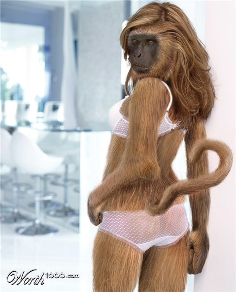 Photoshop Design by Vinetta