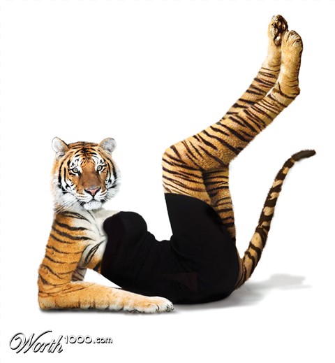 Photoshop Design by Mandrak