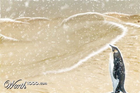 Photoshop Design by Arnovw