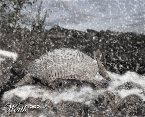 Photoshop Design by melissadiane