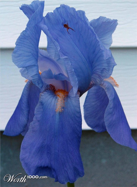 Photography by kathnh