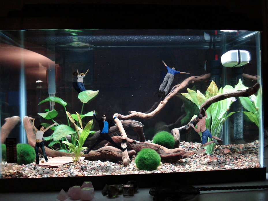 Photoshop Design by elliottb for DesignCrowd (Community Contests) | Design #8984151