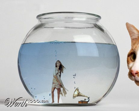 Photoshop Design by yavelin6