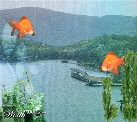 Photoshop Design by diveclass101