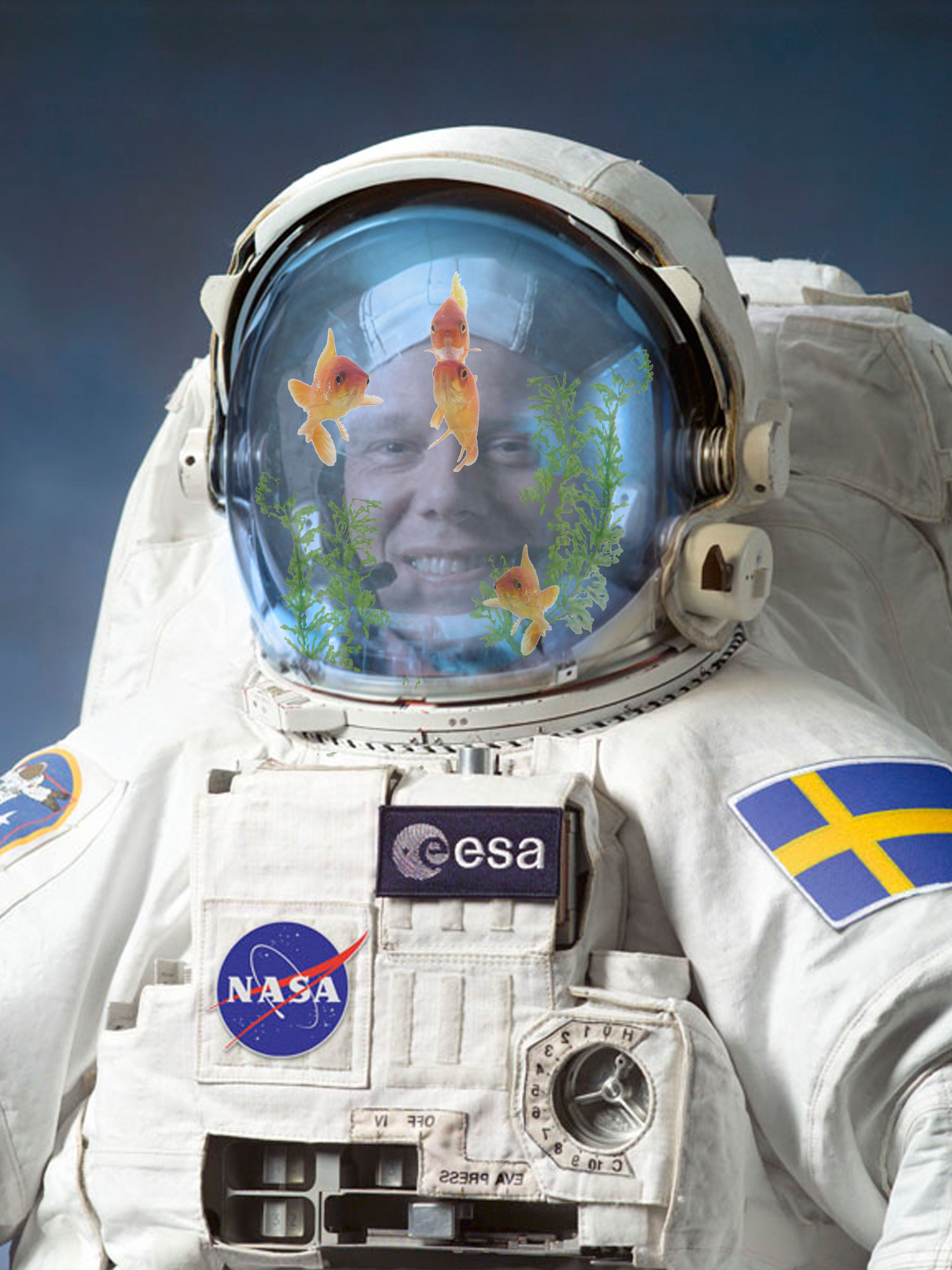 Photoshop Design by RichardvH for DesignCrowd (Community Contests) | Design #8984239