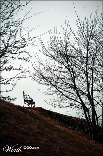 Photography by SigloV