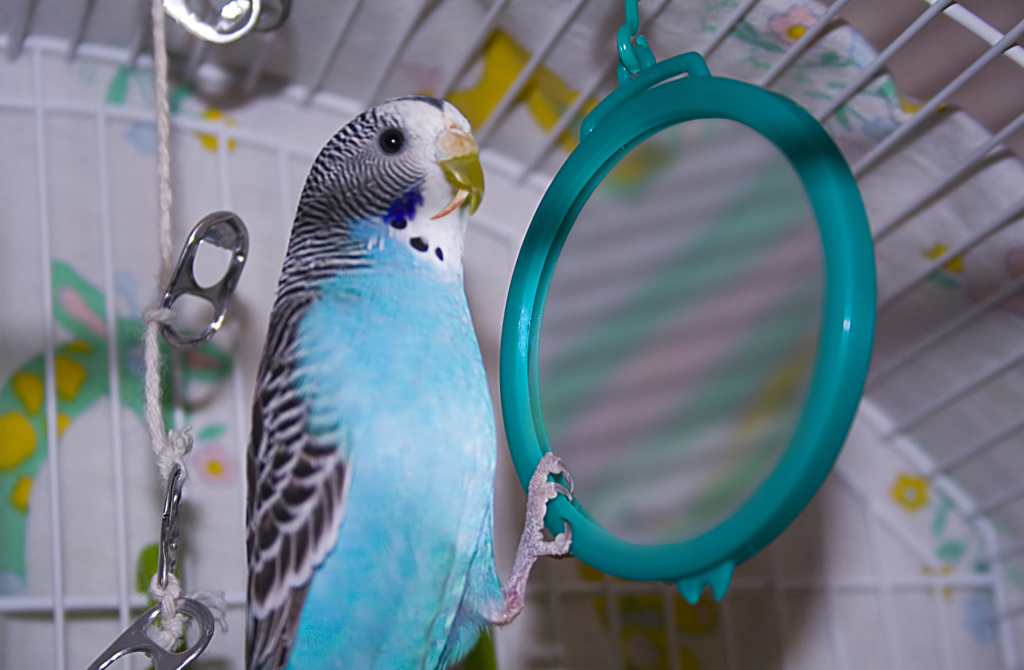 Photoshop Design by herta28 for DesignCrowd (Community Contests) | Design #8983615