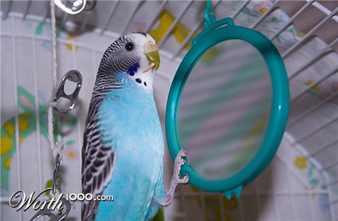 Photoshop Design by herta28