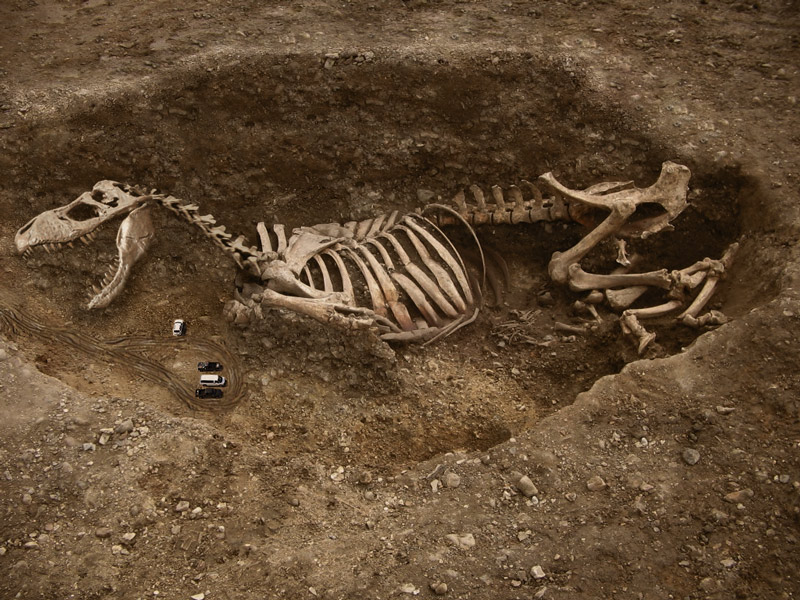 Photoshop Design by sunnythekid for DesignCrowd (Community Contests) | Design #8983661