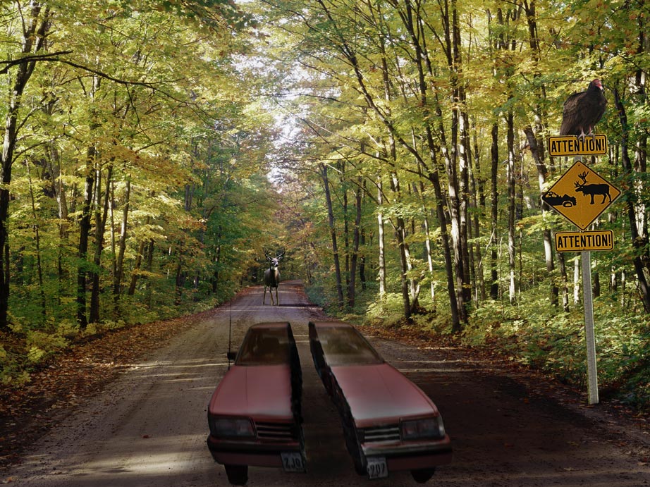 Design Photoshop par Mushon pour DesignCrowd (Community Contests) | Design #8983677