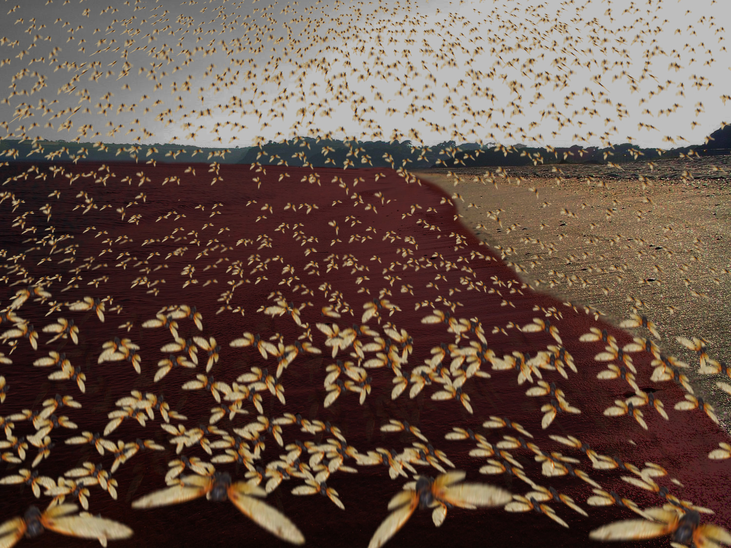 Diseño de Photoshop por jaysin777 para DesignCrowd (Community Contests) | Diseño #8983673