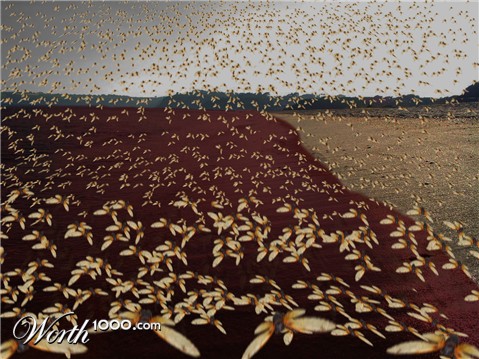 Photoshop Design by jaysin777