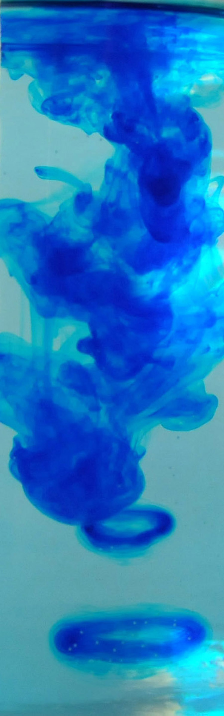 Fotografie von arttrainer für DesignCrowd (Community Contests) | Design #8985429