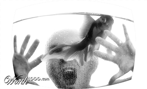 Photoshop Design by edandlizz