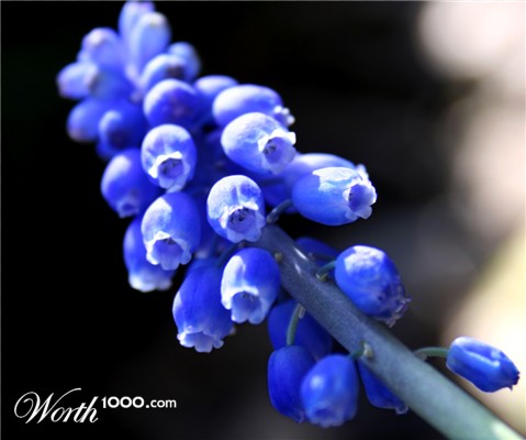 Photography by charizz