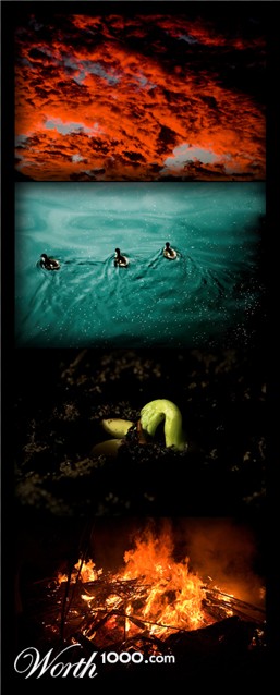 Photography by kimbomac