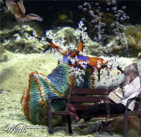 Photoshop Design by lucimine