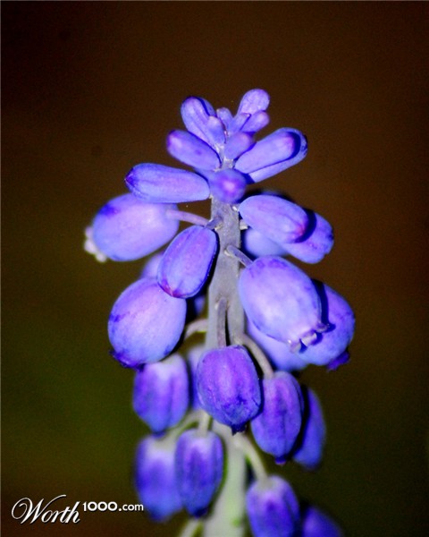 Photography by vramos11