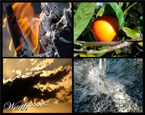 Photography by marssaf