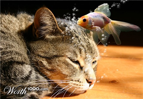 Photoshop Design by Mike62