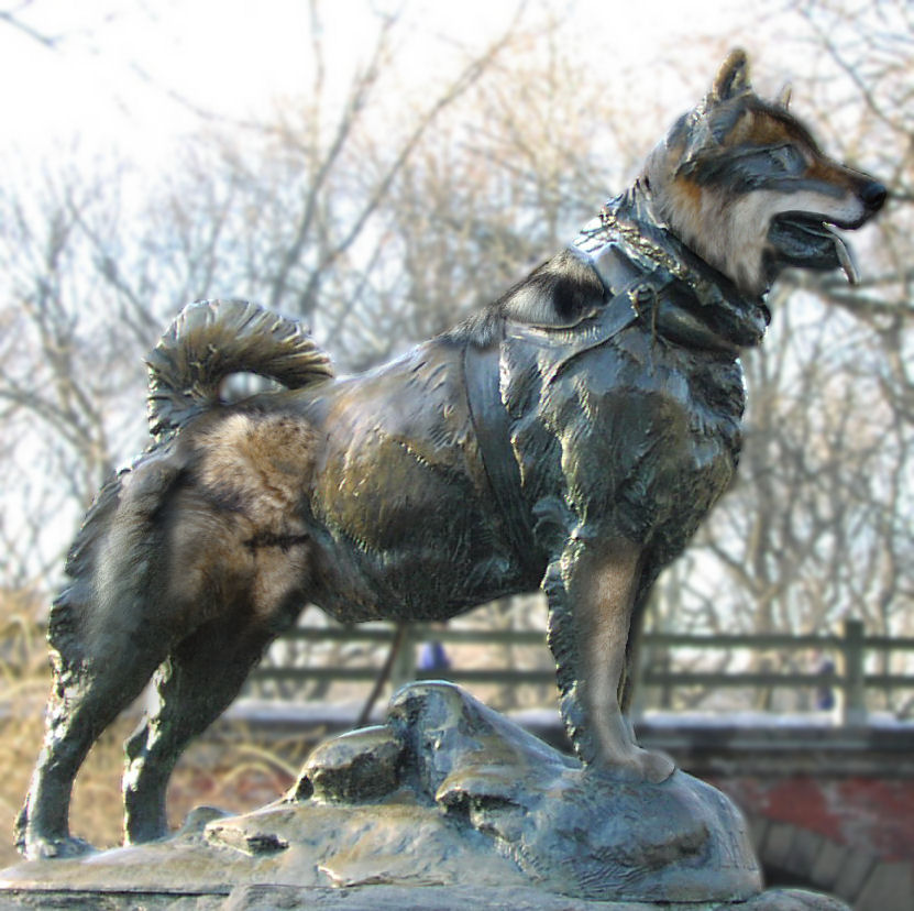 Photoshop Design by mandabear1023 for DesignCrowd (Community Contests) | Design #8980329