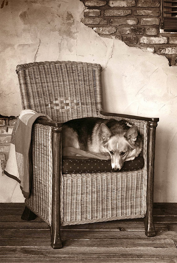 Photography by Marian for DesignCrowd (Community Contests) | Design #8983972