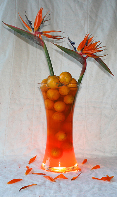 Fotografie von NobleSavage für DesignCrowd (Community Contests) | Design #8980975